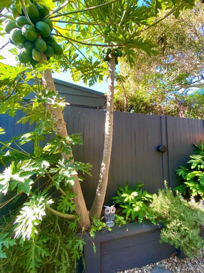 悉尼The Mitchell Bondi Garden 4公寓 外观 照片